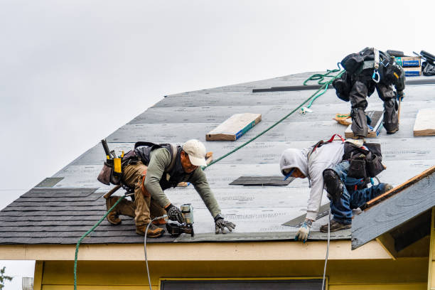 Professional Storm Damage Roof Repair technician working in Braddock, PA
